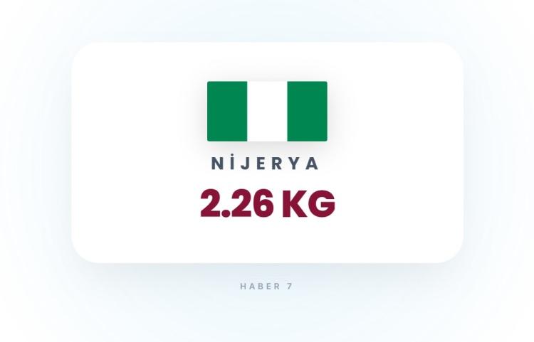 <p><span style="color:#B22222"><strong>31)&nbsp; NİJERYA</strong></span></p>
