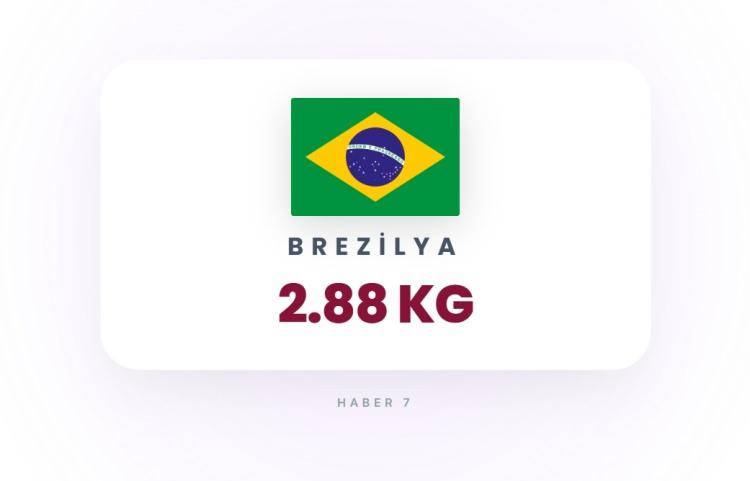 <p><span style="color:#B22222"><strong>30)&nbsp; BREZİLYA&nbsp;</strong></span></p>
