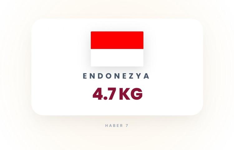 <p><span style="color:#B22222"><strong>29)&nbsp; ENDONEZYA</strong></span></p>
