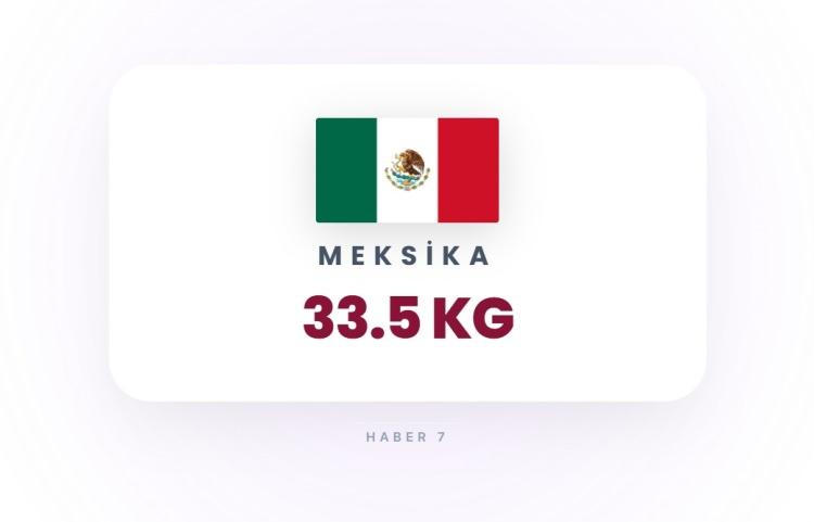 <p><span style="color:#B22222"><strong>24)&nbsp; MEKSİKA</strong></span></p>
