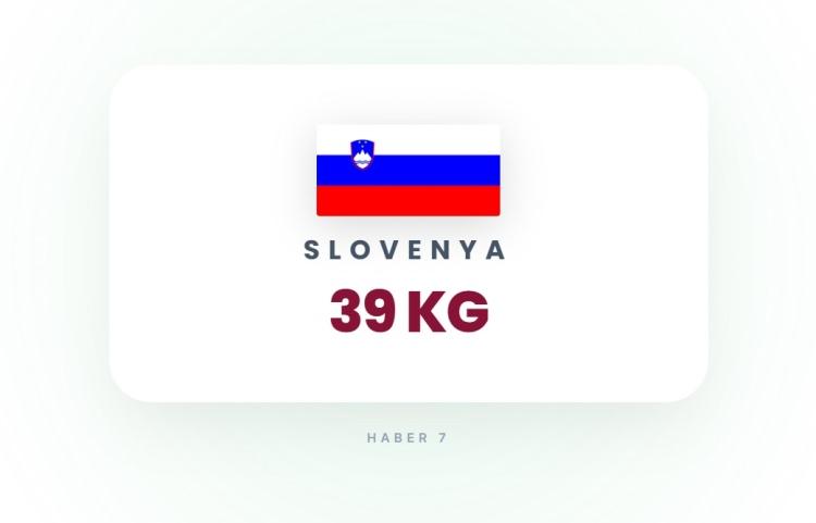 <p><span style="color:#B22222"><strong>22)&nbsp; SLOVENYA</strong></span></p>
