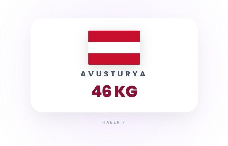 <p><span style="color:#B22222"><strong>18)&nbsp; AVUSTURYA</strong></span></p>
