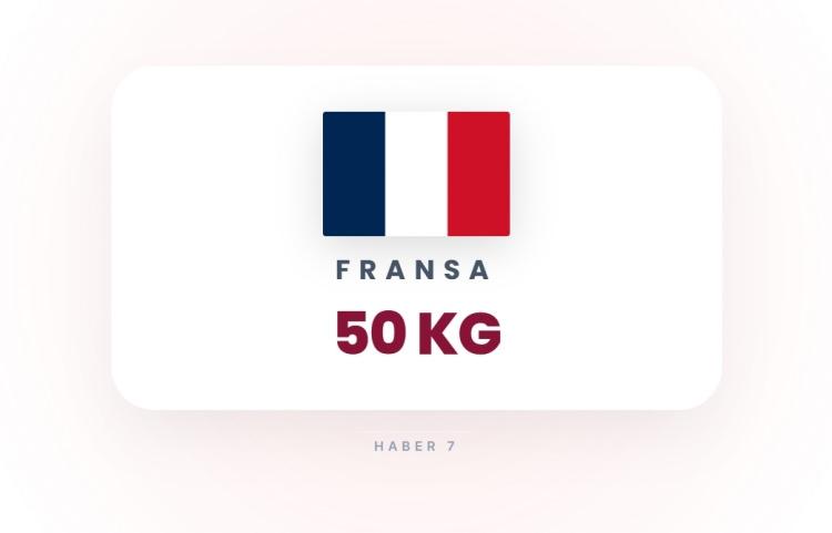 <p><span style="color:#B22222"><strong>15)&nbsp; FRANSA</strong></span></p>
