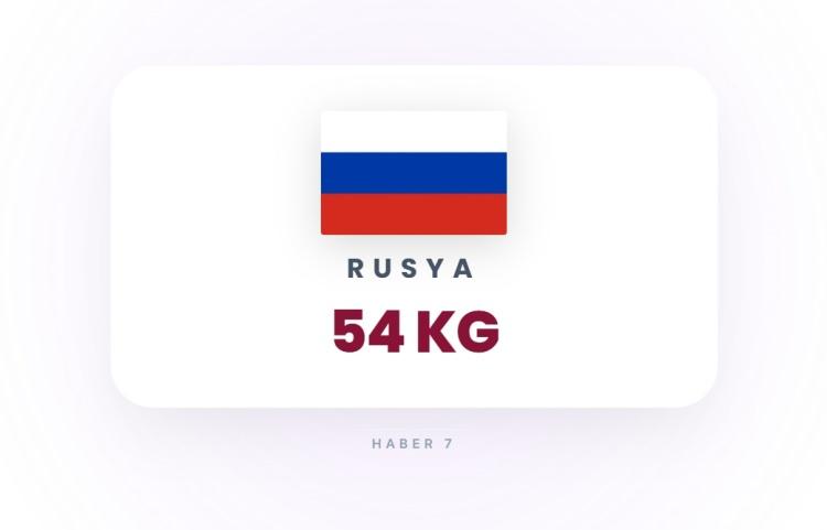 <p><span style="color:#B22222"><strong>13)&nbsp; RUSYA</strong></span></p>
