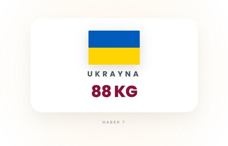 <p><span style="color:#B22222"><strong>3)&nbsp; UKRAYNA</strong></span></p>
