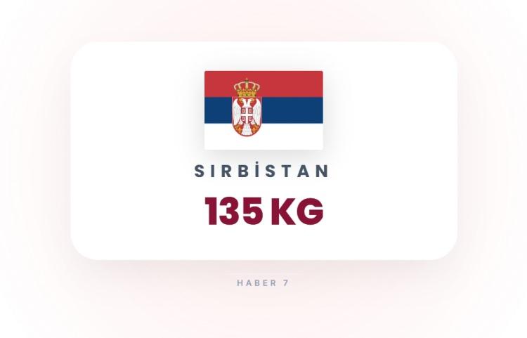 <p><span style="color:#B22222"><strong>2)&nbsp; SIRBİSTAN</strong></span></p>
