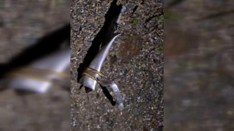 <p>TFF ve spor kul&uuml;pleri, şehit pilot i&ccedil;in başsağlığı mesajları yayımladı.</p>
