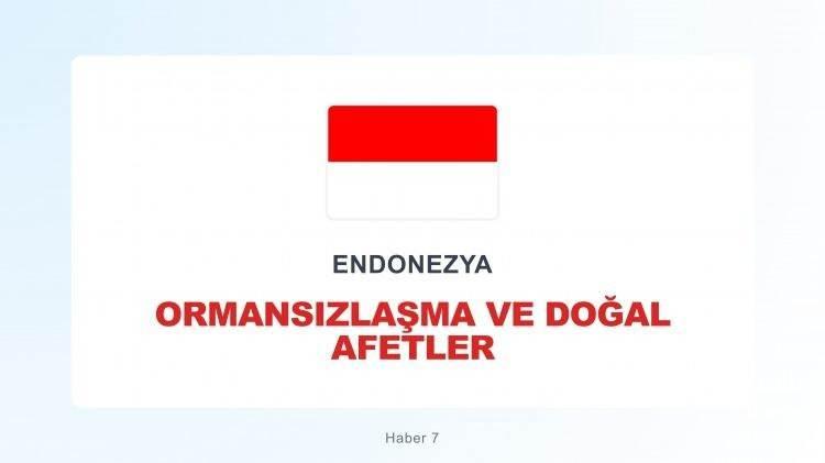 <p><span style="color:#B22222"><strong>ENDONEZYA</strong></span></p>
