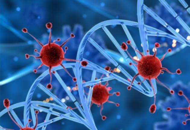 <p><strong><span style="color:rgb(178, 34, 34)">KANSERLE M&Uuml;CADELEDE &Uuml;&Ccedil; AŞAMA VAR</span></strong></p>

<p>T&uuml;rkiye&rsquo;de kanserle m&uuml;cadelenin &uuml;&ccedil; temel aşamada y&uuml;r&uuml;t&uuml;ld&uuml;ğ&uuml;n&uuml; ifade eden &Ouml;zkaya, ş&ouml;yle devam etti:</p>

<p>Birinci aşama korunma. Sigara ve alkolden uzak durmak, kanserojen maddelere maruziyeti azaltmak, sağlıklı beslenmek ve hareketli bir yaşam s&uuml;rmekle kansere yakalanma riskimizi ciddi şekilde d&uuml;ş&uuml;rebiliriz. Risk fakt&ouml;rlerini azalttık&ccedil;a, kansere yakalanma yaşını ileriye &ouml;teleriz. İkinci aşama erken tanıdır. Tarama programları sayesinde kanseri erken evrede yakaladığımızda, &ccedil;oğu zaman cerrahiyle tamamen tedavi edebiliyoruz. Toplumda kanser bı&ccedil;ak değerse yayılır gibi yanlış bir inanış var. Eğer kanser erken evrede yakalanmışsa, ameliyatla tamamen kurtulmak m&uuml;mk&uuml;nd&uuml;r. Bu nedenle korkmadan tedavi s&uuml;recine girmek gerekir. Sağlık Bakanlığı&rsquo;na bağlı Sağlıklı Hayat Merkezleri ile KETEM birimleri &uuml;cretsiz hizmet veriyor. Vatandaşları tarama programlarına katılmaya davet ediyorum.</p>
