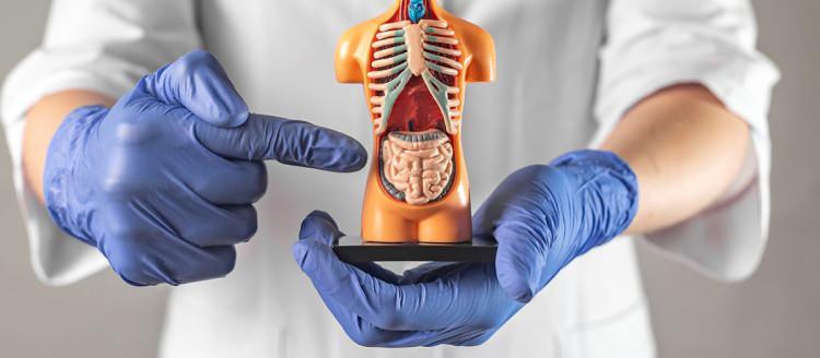 <p>Maalesef &uuml;lkemizde bir&ccedil;ok hastaya ileri evrede tanı koyuyoruz. İleri evre kanserlerde olağan&uuml;st&uuml; bir tedavi yok. Ancak artık genetik analizlerle hastayı kanserle buluşturan molek&uuml;ler mekanizmaları tespit edebiliyoruz. Hedefe y&ouml;nelik ve kişiye &ouml;zel tedavilerle hastalarımızın yaşam s&uuml;resini uzatabiliyor, yaşam kalitelerini artırabiliyoruz. İleri evrede amacımız hastalığı tamamen yok etmekten &ccedil;ok, onu kontrol altında tutarak hastamıza daha uzun ve konforlu bir yaşam sunmak.</p>
