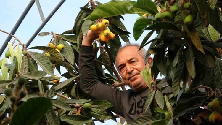 Yılın ilk yenid&uuml;nya hasadı yapıldı: Fiyatı dudak u&ccedil;uklattı