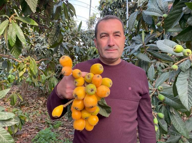 Yılın ilk yenid&uuml;nya hasadı yapıldı: Fiyatı dudak u&ccedil;uklattı