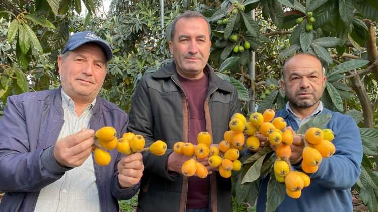 Yılın ilk yenid&uuml;nya hasadı yapıldı: Fiyatı dudak u&ccedil;uklattı