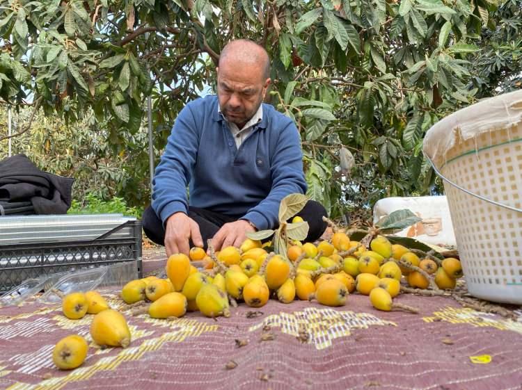 Yılın ilk yenid&uuml;nya hasadı yapıldı: Fiyatı dudak u&ccedil;uklattı
