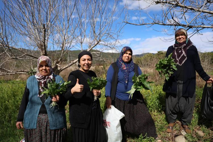 Bu otu yerken 2 kez d&uuml;ş&uuml;n&uuml;n: Doğada zehirli, kazanda şifalı 