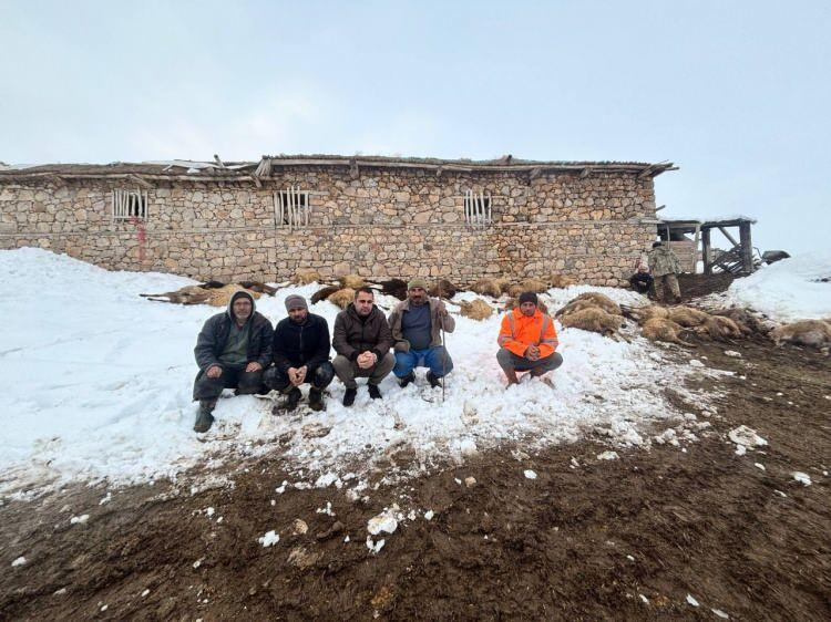Erzincan'da kahreden manzara: Toplu halde telef oldular! Zehir ş&uuml;phesi..