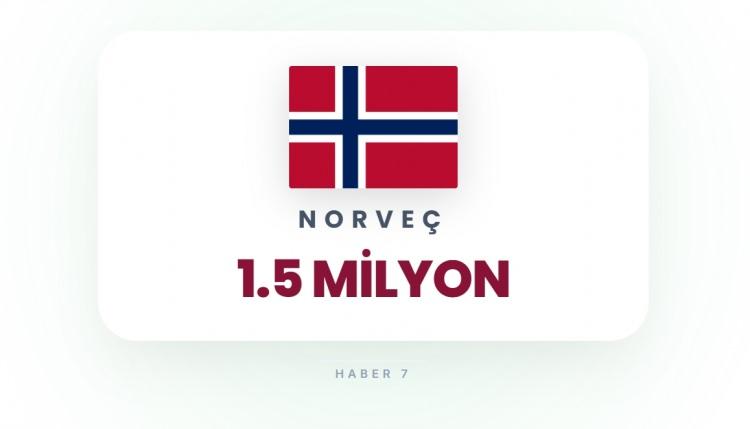 <p><span style="color:#B22222"><strong>39)&nbsp; NORVE&Ccedil;</strong></span></p>

<p>&nbsp;</p>

<p>N&uuml;fus yoğunluğu d&uuml;ş&uuml;k, stratejik hedef sınırlı.</p>
