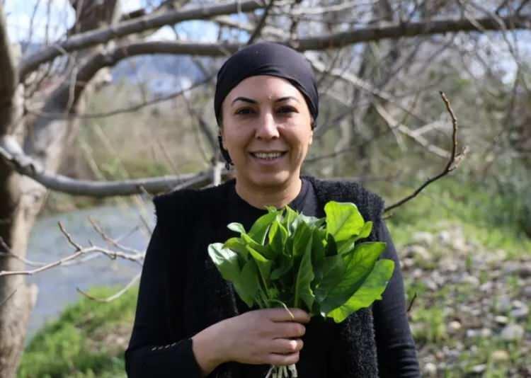 <p><span style="color:#FF0000"><strong>"İYİ PİŞMEZSE YENMEZ"</strong></span></p>

<p><strong>Yılın yalnızca belirli d&ouml;nemlerinde yetişen ot ve yemeği hakkında bilgi veren &Ccedil;ukurovalı &uuml;retici &Ouml;zlem Dinler, "Doğada yılan pancarı olarak ge&ccedil;er, yemeğine 'tırşik' deriz. Tohumu olmayan, birka&ccedil; ay i&ccedil;inde yetişen zehirli bir ot.&nbsp;</strong></p>
