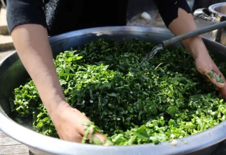 <p><strong>Zehri alınan ot, ardından odun ateşinde kara kazanda yaklaşık 4 saat pişiriliyor ve sofralarda kendine yer buluyor.</strong></p>
