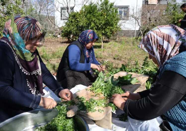 <p><strong>Adana'nın Kozan il&ccedil;esindeki kadınlar, doğada zehirli olan yılan pancarı otunu bah&ccedil;elerden toplayarak şifalı yemeğe d&ouml;n&uuml;şt&uuml;r&uuml;yor. Olduk&ccedil;a zahmetli bir hazırlık s&uuml;reci olan bu yemek i&ccedil;in incecik doğranan ot; yoğurt, nohut, yarma ve limonla karıştırılıp &uuml;zeri unla kapatılarak 24 saat bekletiliyor.</strong></p>
