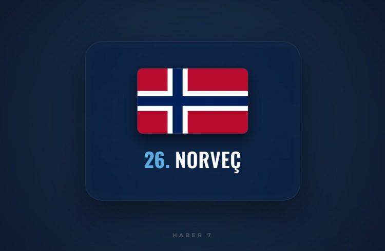 <p><span style="color:#B22222"><strong>26)&nbsp; NORVE&Ccedil;</strong></span></p>
