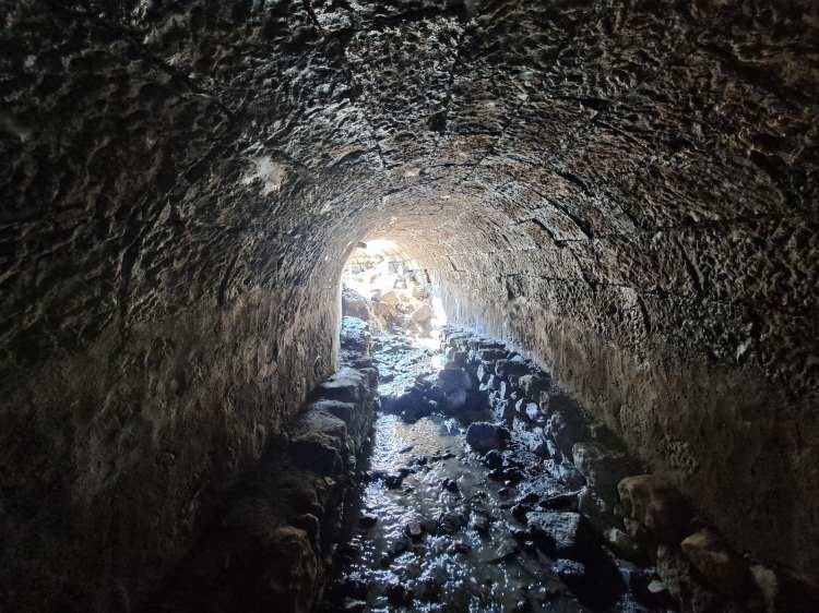 Trabzon'da heyecanlandıran keşif! T&uuml;rkiye'de bir &ouml;rneği daha yok 