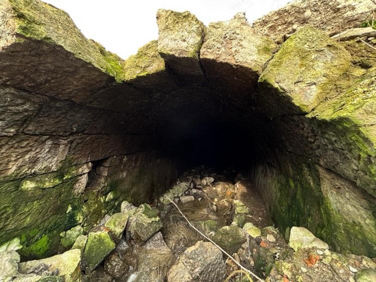 Trabzon'da heyecanlandıran keşif! T&uuml;rkiye'de bir &ouml;rneği daha yok 