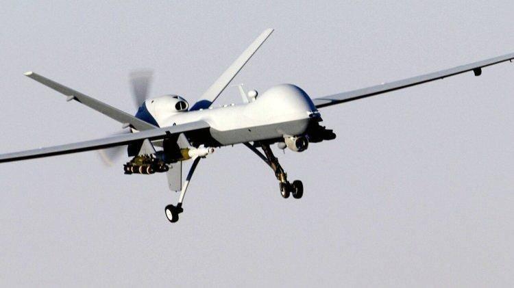 <p><strong><span style="color:rgb(178, 34, 34)">HARPY</span></strong></p>
