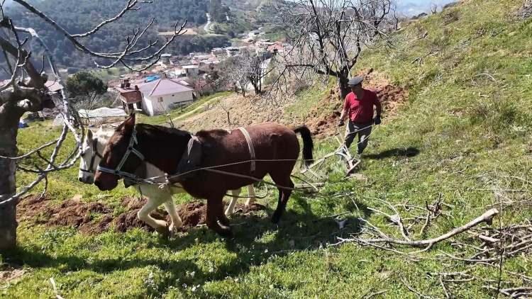 G&uuml;nl&uuml;k yevmiye 8 bin TL! &Ccedil;alışacak iş&ccedil;i bulunamıyor