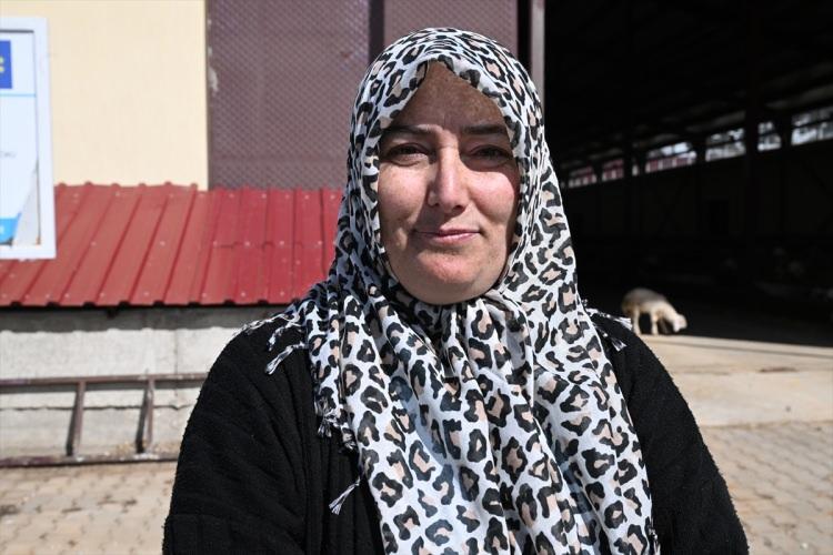 Aldığı devlet desteğiyle 103 koyunu 800 başa &ccedil;ıkarttı 