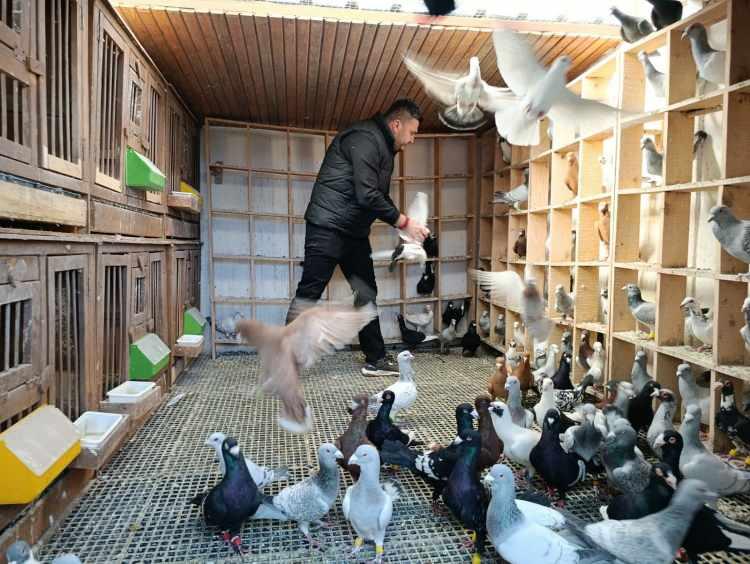 G&uuml;vercinler i&ccedil;in memurluğu bıraktı! Otomobil fiyatına satıyor 