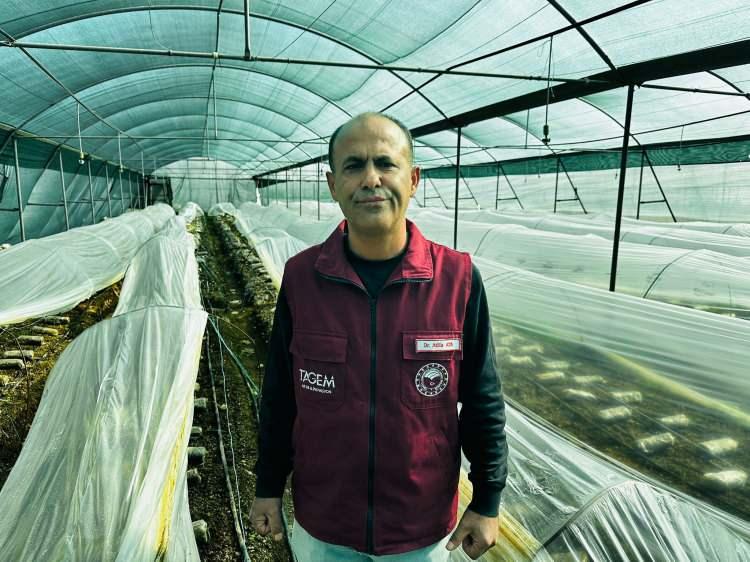 Fiyatı kırmızı eti fersah fersah solladı! Rakamı duyan şoke oldu