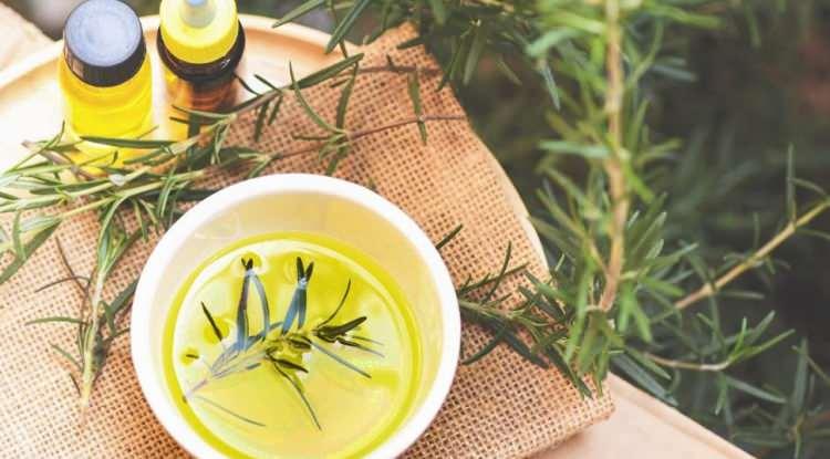 <p><span style="color:#B22222"><em><strong>Modern hayatın hızlı temposunda bazen &ouml;nemli randevuları bazen de en basit detayları dahi hatırlamakta g&uuml;&ccedil;l&uuml;k &ccedil;ekebiliyoruz. Eğer siz de hayatı 'bulanık' bir camın ardından takip ediyormuş hissine kapılıyorsanız aradığınız &ccedil;&ouml;z&uuml;m mutfağınızın bir k&ouml;şesinde gizli olabilir. Bilimsel araştırmalar, yemeklere lezzet katan sevilen bitkinin hafızayı inanılmaz derecede keskinleştirdiğini kanıtladı. İşte, detaylar...</strong></em></span></p>
