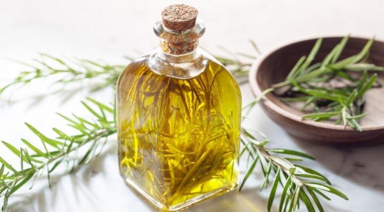 <p><strong>Biberiyenin i&ccedil;eriğinde yer alan 1,8-sineol adlı bileşenin burun yoluyla doğrudan kana karıştığını ifade eden bilim insanları, bu durumun beyindeki hatırlatma mekanizmalarını tetiklediğini s&ouml;yledi.</strong></p>
