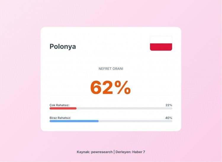 <p><span style="color:#B22222"><strong>12)&nbsp; POLONYA</strong></span></p>
