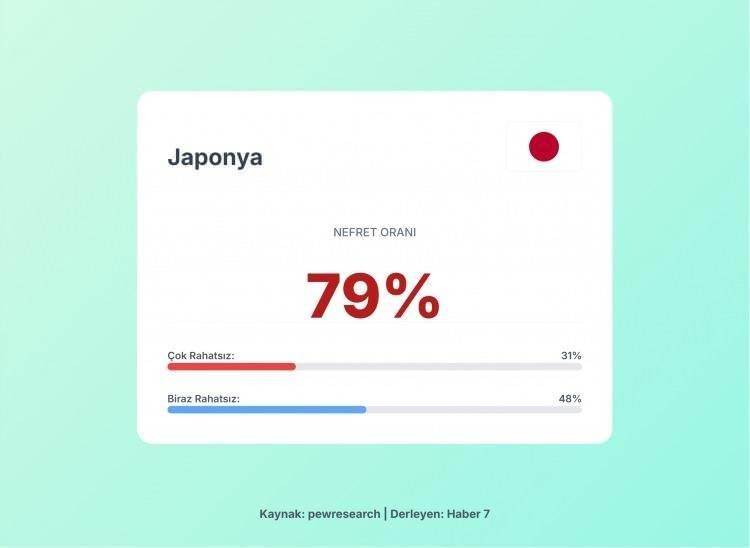 <p><span style="color:#B22222"><strong>3)&nbsp; JAPONYA</strong></span></p>
