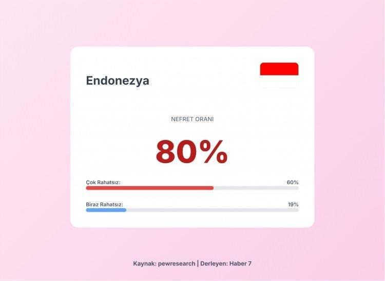 <p><span style="color:#B22222"><strong>2)&nbsp; ENDONEZYA</strong></span></p>
