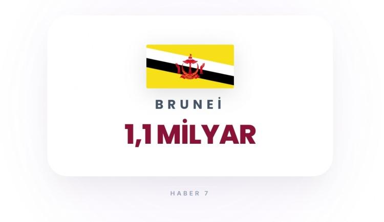 <p><span style="color:#B22222"><strong>40)&nbsp; BRUNEI</strong></span></p>
