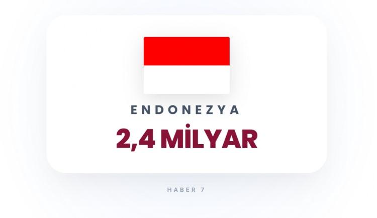 <p><span style="color:#B22222"><strong>32)&nbsp; ENDONEZYA</strong></span></p>
