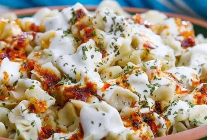 <p><strong><span style="color:#B22222">8. MANTI -</span> </strong></p>

<p><strong>KAYSERİ: </strong></p>
