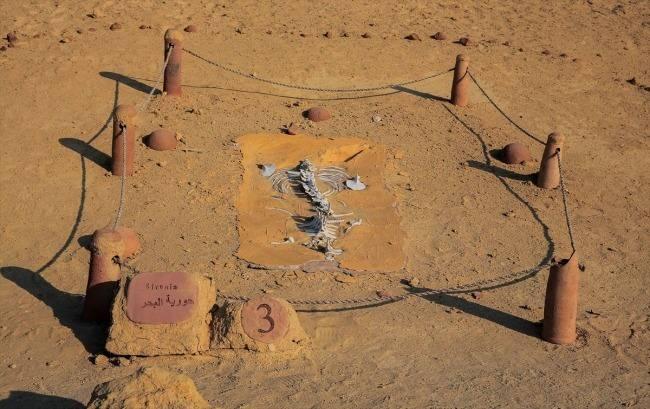 <p><span style="color:#B22222"><strong>FEYYUM (MISIR)﻿﻿﻿﻿﻿﻿﻿﻿﻿﻿﻿</strong></span></p>

<p>&nbsp;</p>

<p>&nbsp;</p>
