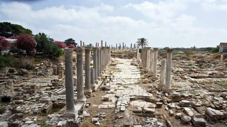 <p><span style="color:#B22222"><strong>SUR (L&Uuml;BNAN)</strong></span></p>

<p>&nbsp;</p>

<p>&nbsp;</p>
