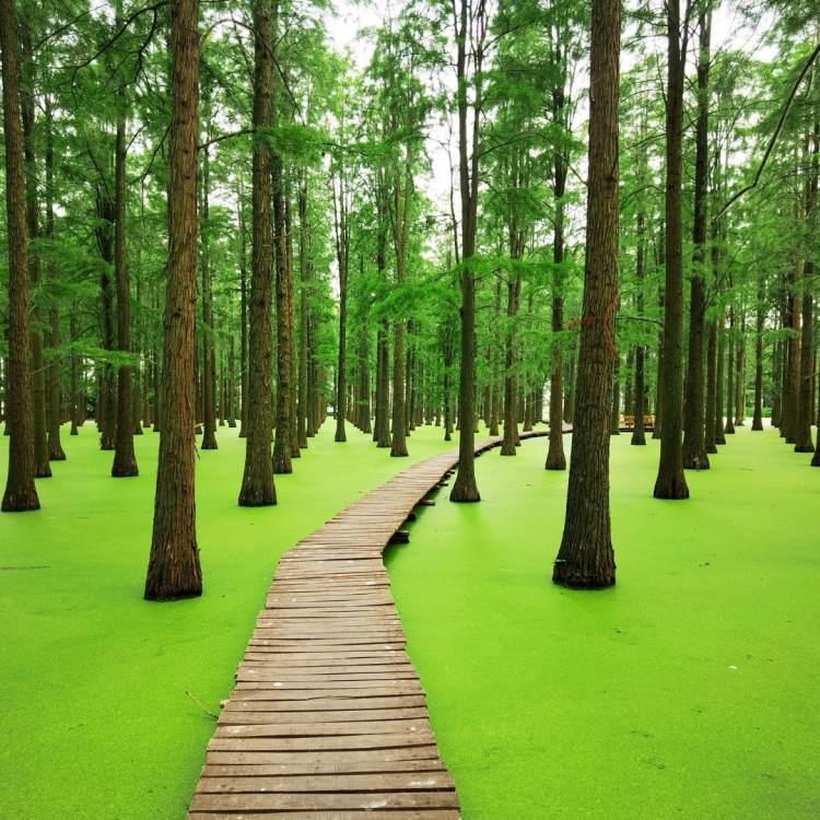 <p><span style="color:#B22222"><strong>LUYANG (&Ccedil;İN)</strong></span></p>

<p>&nbsp;</p>

<p>&nbsp;</p>

<p>&nbsp;</p>
