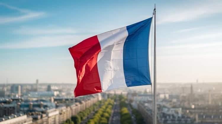 <p><span style="color:#B22222"><strong>12)&nbsp; FRANSA</strong></span></p>
