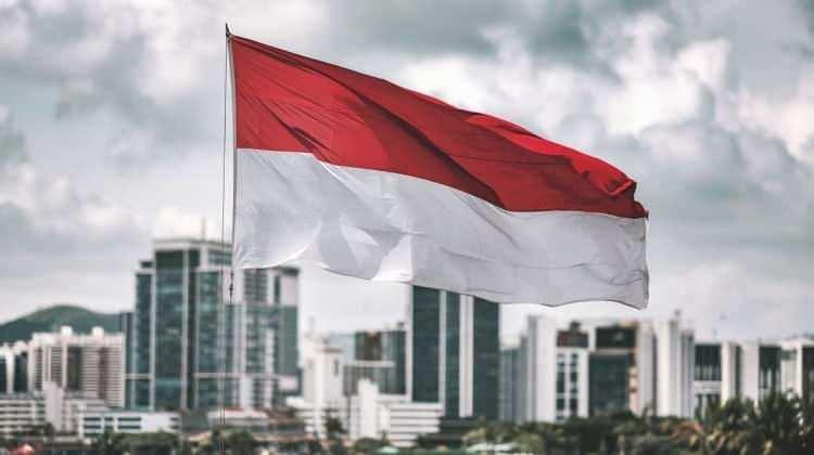 <p><span style="color:#B22222"><strong>4)&nbsp; ENDONEZYA</strong></span></p>
