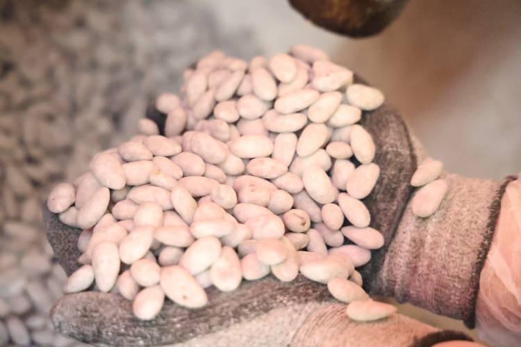 Pancar şekerinden yapılan &uuml;r&uuml;nde talep patlaması! Kilogram fiyatı şaşırttı 