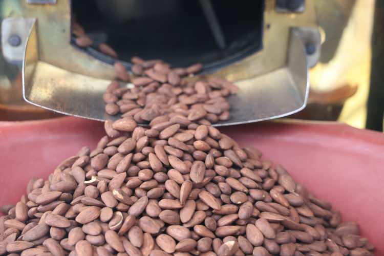 Pancar şekerinden yapılan &uuml;r&uuml;nde talep patlaması! Kilogram fiyatı şaşırttı 