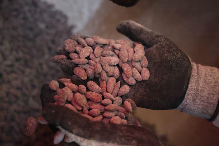 Pancar şekerinden yapılan &uuml;r&uuml;nde talep patlaması! Kilogram fiyatı şaşırttı 