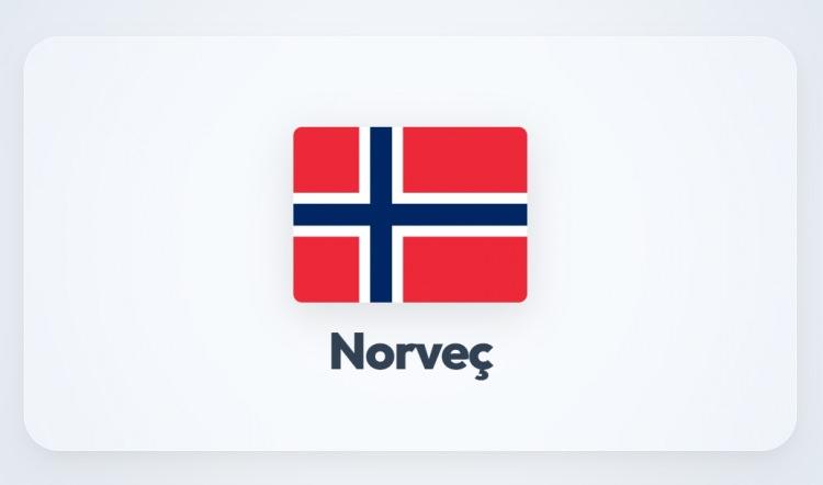 <p><span style="color:#B22222"><strong>NORVE&Ccedil;</strong></span></p>
