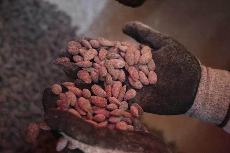 <p><span style="color:#FF0000"><strong>"RAMAZAN AYI İ&Ccedil;ERİSİNDE 10 TON CİVARI BADEM ŞEKERİ &Uuml;RETİP SATTIK"</strong></span></p>

<p><strong>Kilogramı 500 liradan alıcı bulan ve ağırlıklı olarak yerli bademden yapılan badem şekerine g&ouml;sterilen ilgiden memnuniyet duyan badem şekeri ustası Coşkun Ceylan, ş&ouml;yle konuştu:</strong></p>

<p><strong>"Ramazan ayında normal g&uuml;nlere g&ouml;re biraz daha yoğunluk oluyor. Bu sene Ramazan ayının soğuk ge&ccedil;mesi vatandaşların tatlıya talebi biraz daha yoğunlaştırdı. Tatillerin de kısa olmasından dolayı memleketlerine gelemeyen gurbet&ccedil;ilerimiz de talep etti.&nbsp;</strong></p>
